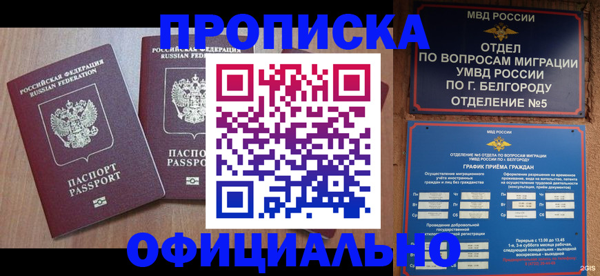 найти адрес прописки в Волхове